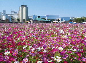 キリンビール福岡工場 外観の写真