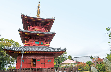 県の有形文化財に指定されている壮麗な三重塔