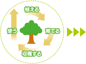 森林のサイクル 植える・育てる・収穫する・使う