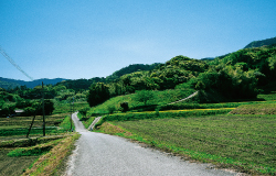 福岡から糸島の道中のスナップ写真7