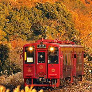 紅葉の中を走ることこと列車の写真