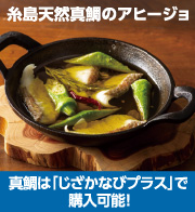 糸島天然真鯛のアヒージョ 真鯛は「じざかなびプラス」で購入可能！