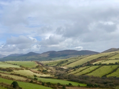 長閑な田園風景。曇天がアイルランドらしい天気です。