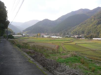 北九州市小倉南区道原付近の里山的景観の写真です