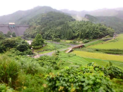 添田町「油木ダム」付近の九州自然歩道の写真です