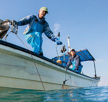 カニカゴ漁の写真