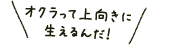 ʐ^FINďɐ񂾁I