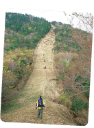 ʐ^FTagawa Long Trail ̗