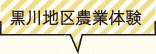 n_Ƒ̌