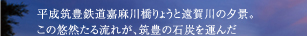 }LSÖ싴傤Ɖ̗[iB̗IR闬ꂪA}L̐ΒY^