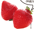 ʐ^F܂