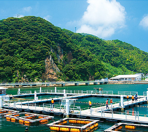 海上釣堀の写真