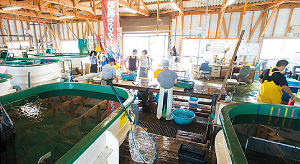 宗像漁業協同組合 鐘の岬活魚センター