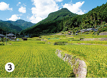 国の重要文化的景観に選定されている「求菩提の農村景観」