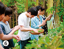 野草摘み体験の様子