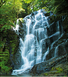 白糸の滝