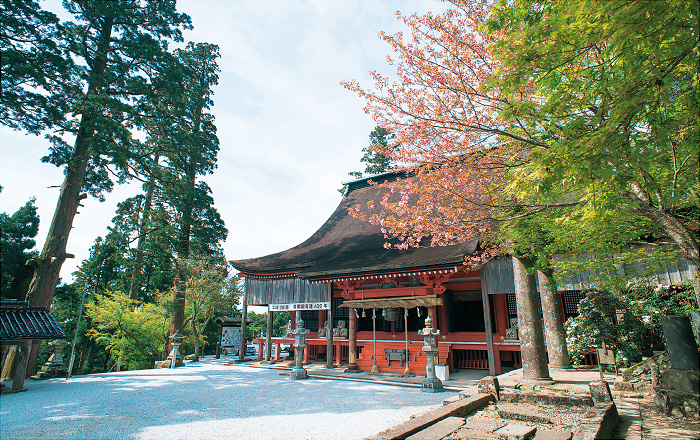 英彦山神宮奉幣殿（ほうへいでん）