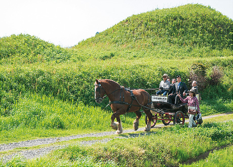 「つやざき観光馬車」に乗車する様子