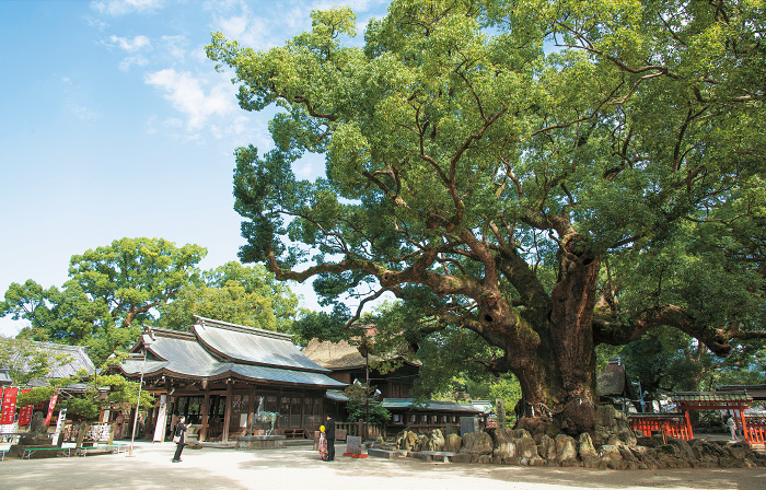 宇美八幡宮（うみはちまんぐう）