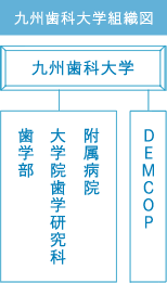 九州歯科大学組織図