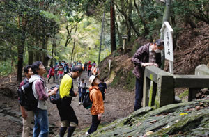 九州オルレ 高良山コース