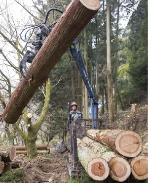 伐採した木材を運搬する重機の操作