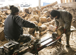 根元の部分や半端な長さの木材は薪に加工し販売している