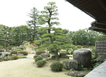 広々と開放的に見える庭園