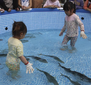 「お魚つかみどりコーナー」は毎年大人気