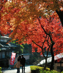 秋月の城下町