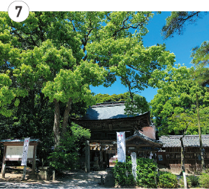 櫻井神社の写真