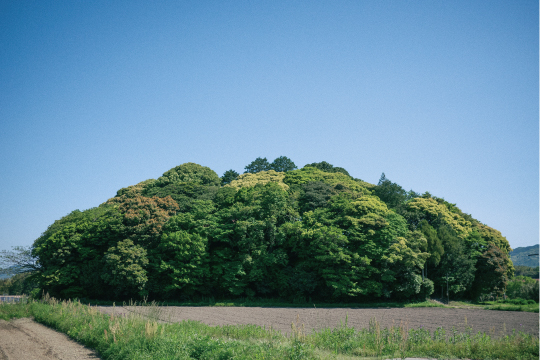 福岡から糸島の道中のスナップ写真1