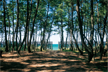 福岡から糸島の道中のスナップ写真4