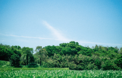 福岡から糸島の道中のスナップ写真6