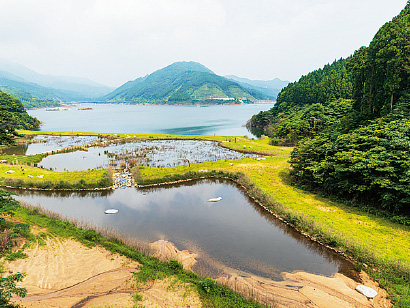 湖内ビオトープの写真