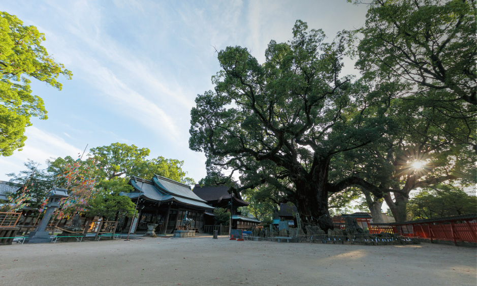 宇美八幡宮の写真