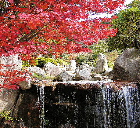 一本松公園の写真