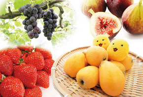 岡垣町の果物の写真