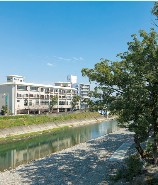 矢部川の清流の様子