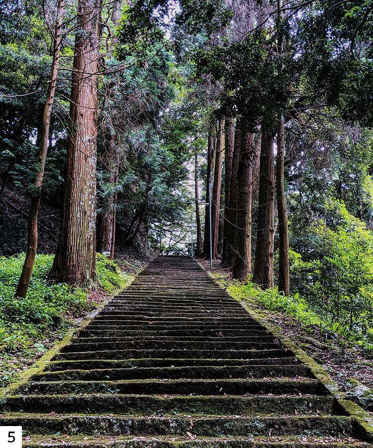 馬見神社の境内から社殿へ続く石段の写真 馬見神社の境内から社殿へ続く石段の写真