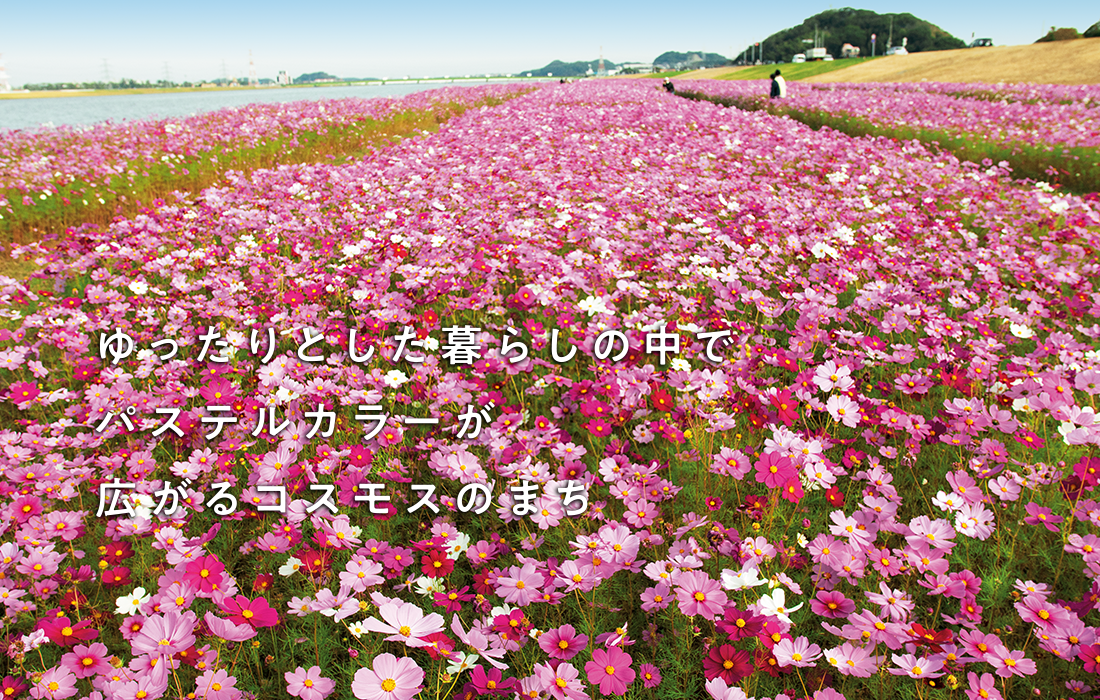 ゆったりとした暮らしの中でパステルカラーが広がるコスモスのまち/ときめきマイタウン水巻町のイメージ写真 ゆったりとした暮らしの中でパステルカラーが広がるコスモスのまち/ときめきマイタウン水巻町のイメージ写真