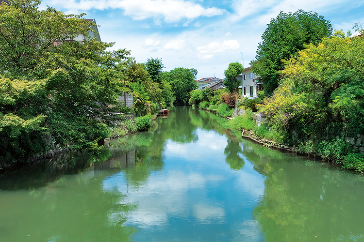 柳川らしい水と緑の掘割のある風景写真