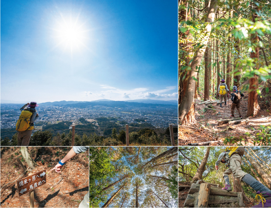 四王寺山コースの様々な風景