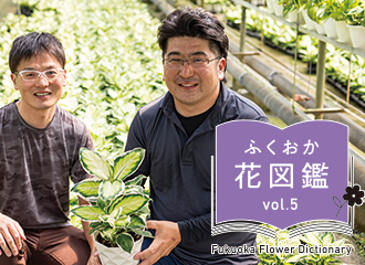 有限会社はざま園芸の波左間拓也さん（右）と健さん（左）の写真