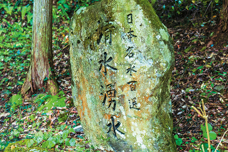 清水湧水（きよみずゆうすい）の写真2