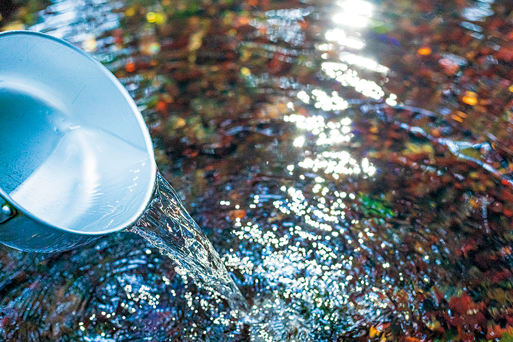 清水湧水（きよみずゆうすい）の写真3