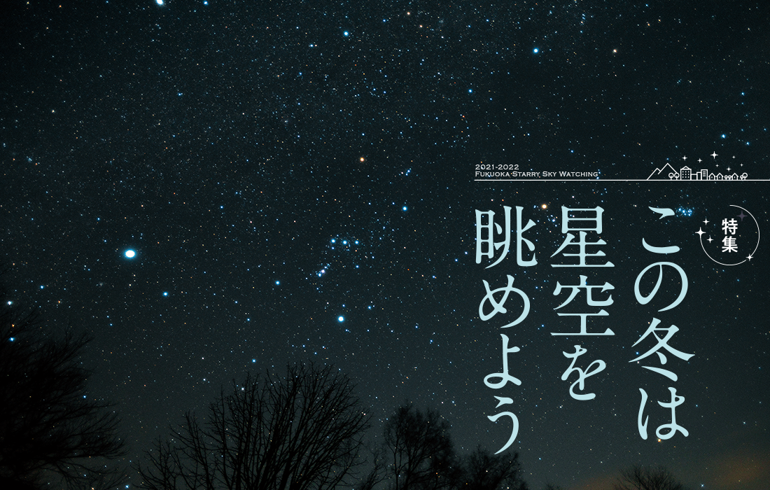 キラキラと降り注ぐような星空の写真 キラキラと降り注ぐような星空の写真