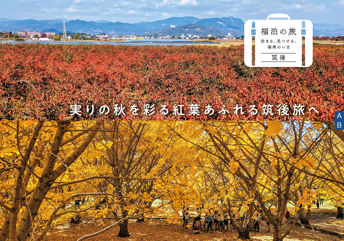 赤や黄の柿の葉、黄金色に染まるイチョウがある風景写真