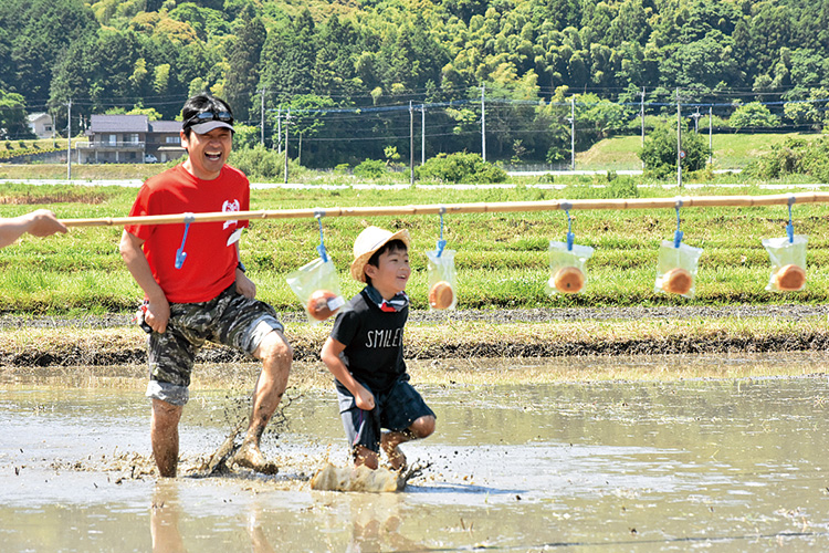 田んぼの中でパン食い競争をしている写真 田んぼの中でパン食い競争をしている写真