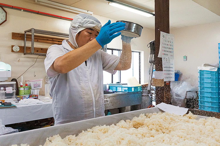 しょうゆやみそ製造中の写真 しょうゆやみそ製造中の写真
